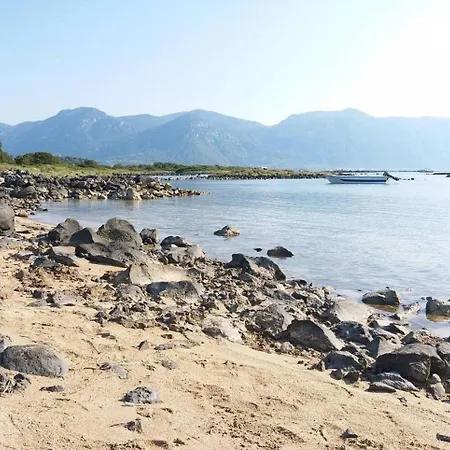 Daphnus In Agios Konstantinos Agios Konstantinos (Phthiotis)