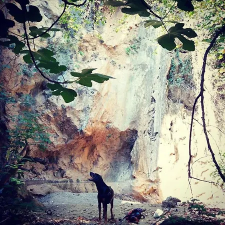 Apartman Daphnus In Agios Konstantinos
